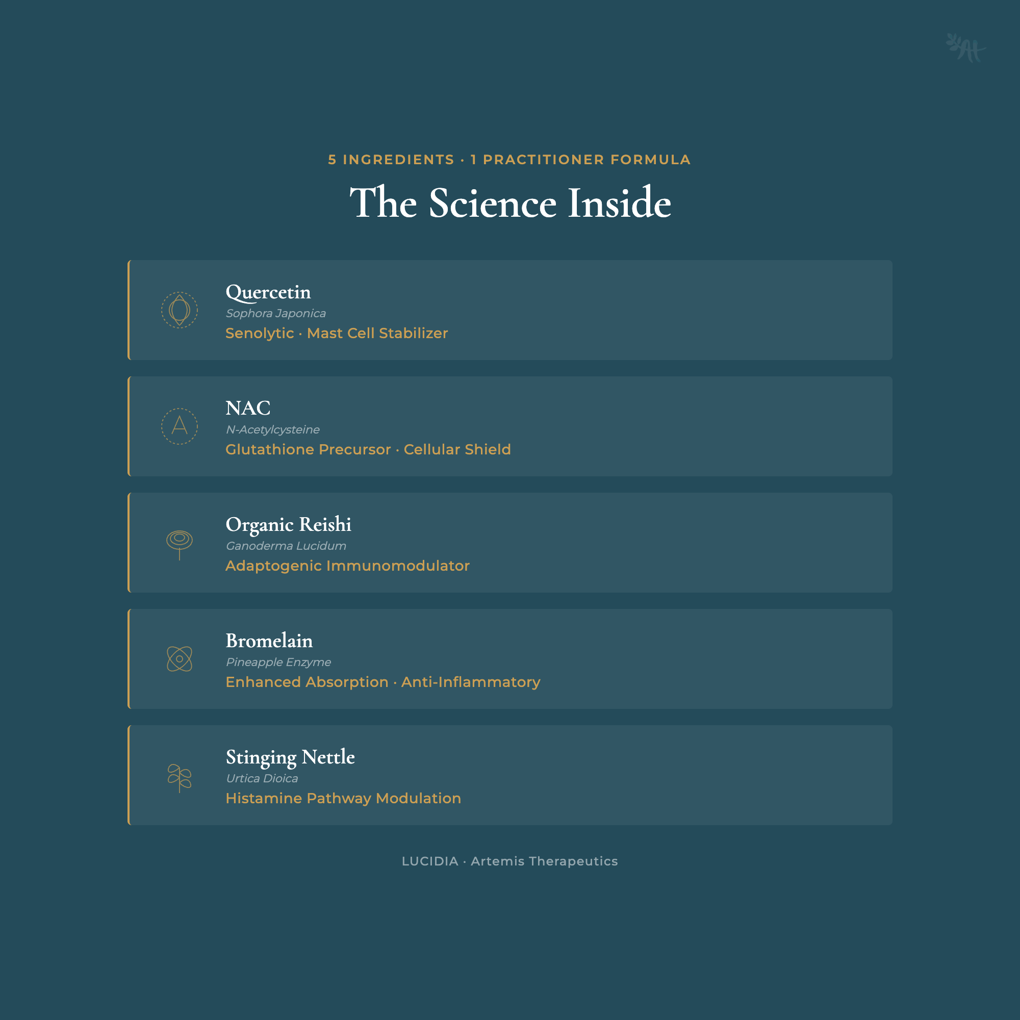 Slot 4 — Ingredients